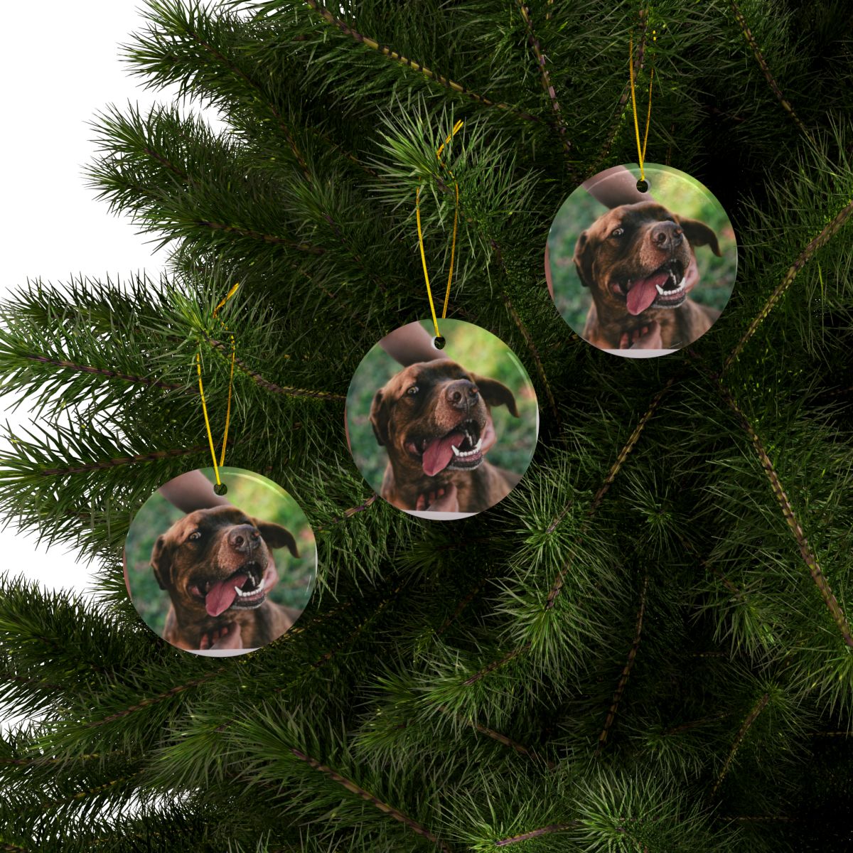 Memory Orb Custom Holiday Keepsake