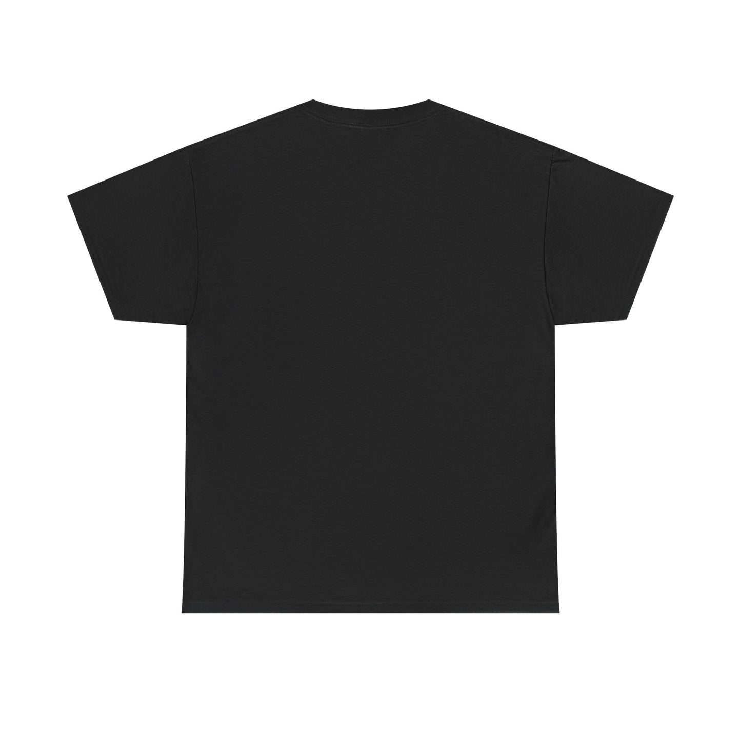 Unisex Heavy Cotton Tee (Placeholder Do Not Publish)