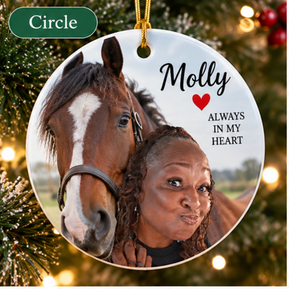Pet/Person Custom Ornaments, 2-Sides (1pc, 3pcs, 5pcs, 10pcs)