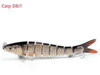 Carp D8J1