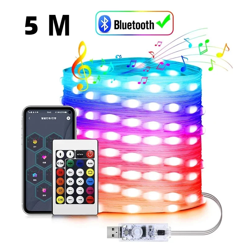 20M RGBIC USB 5V LED Sting Light Bluetooth Music APP WS2812 Programmable DIY Fairy Lights Birthday Party Garland Christmas Decor