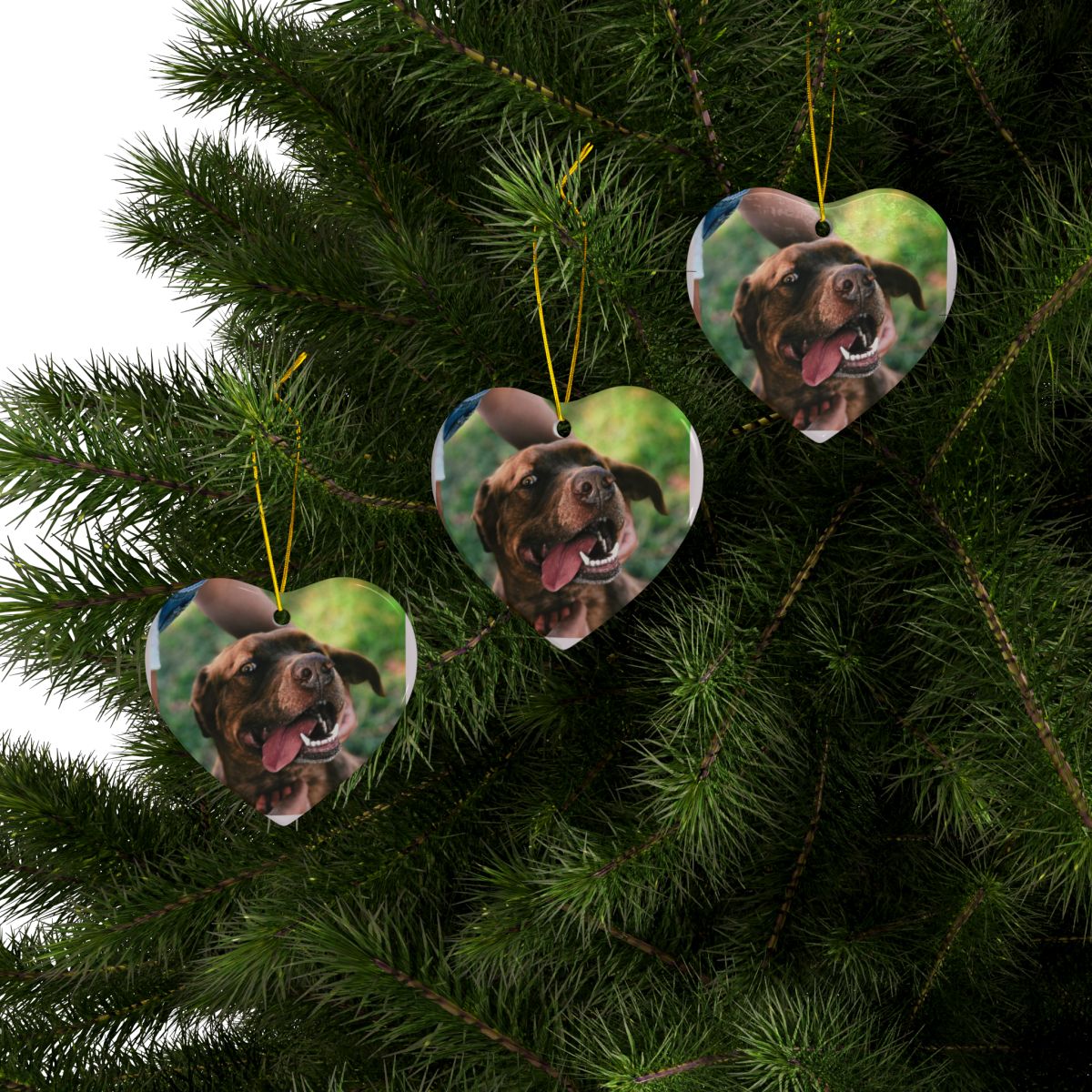 Memory Orb Custom Holiday Keepsake