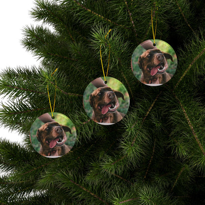 Memory Orb Custom Holiday Keepsake